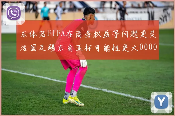 东体若FIFA在商务权益等问题更灵活国足踢东南亚杯可能性更大0000644